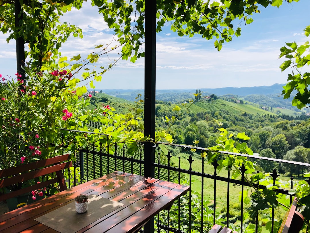 découvrez tout ce qu'il faut savoir sur l'aménagement et la décoration de votre balcon : conseils, inspirations et astuces pour créer un espace extérieur agréable et fonctionnel, adapté à toutes les envies.