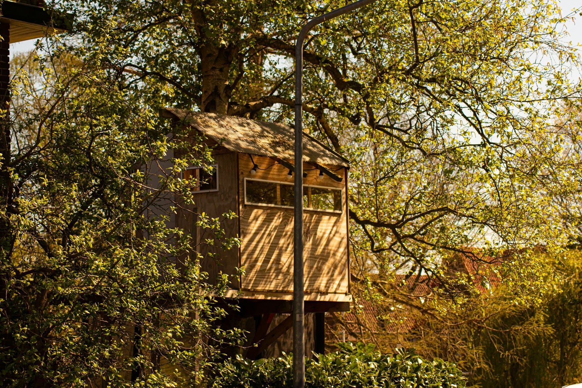 cabane dans arbres