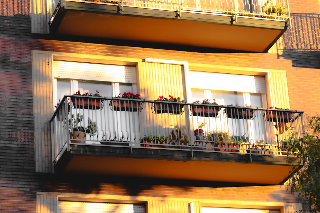 découvrez comment aménager un balcon sécurisé et confortable pour votre chat. conseils, idées d’aménagement et accessoires pour offrir à votre félin un espace extérieur sûr.