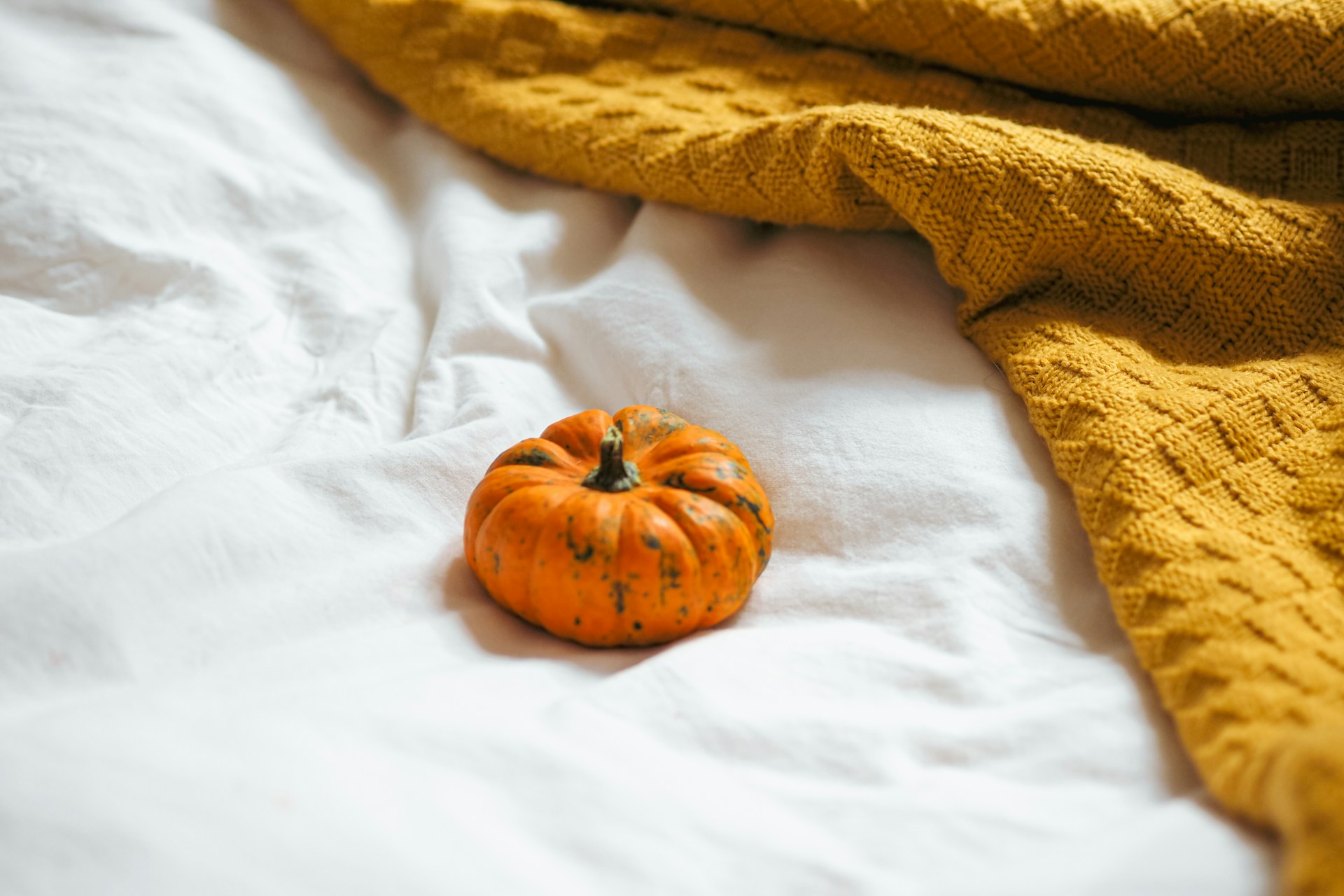 chambre halloween