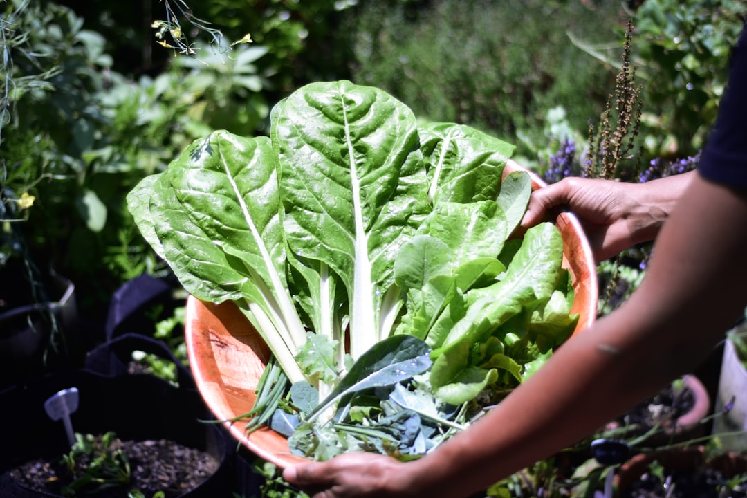 dĂ©couvrez les astuces du jardinage en container pour crĂ©er des espaces verts mĂȘme dans les petits espaces. idĂ©al pour balcons, terrasses et patios.