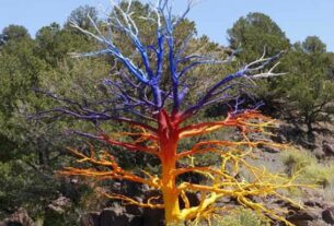 decorer arbre mort