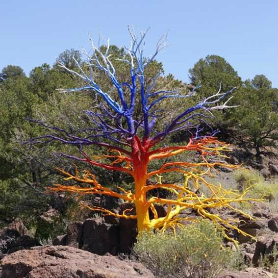 decorer arbre mort