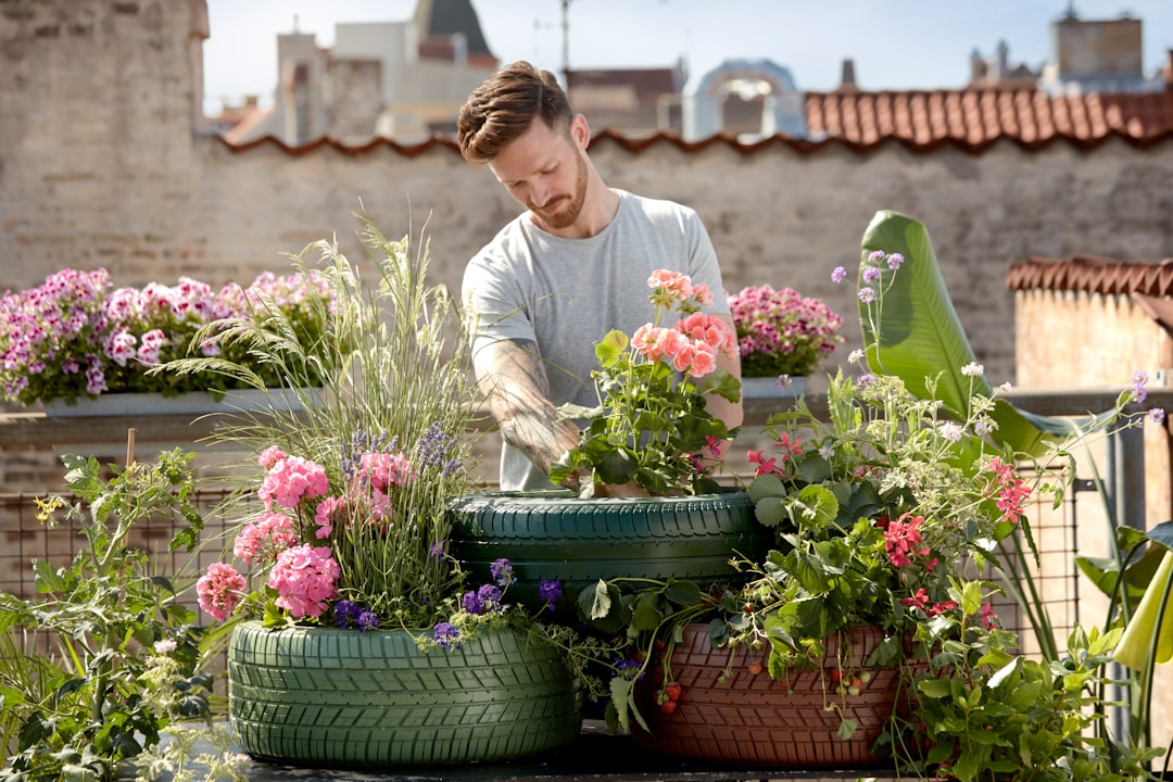découvrez des conseils pratiques, astuces et guides pour réussir votre jardinage, que vous soyez débutant ou passionné. améliorez votre espace vert et cultivez facilement vos plantes, fleurs et légumes tout au long de l'année.