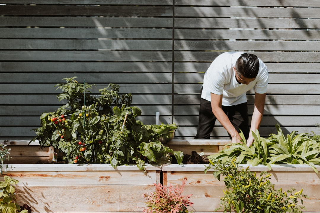 découvrez des conseils et astuces de jardinage pour cultiver un jardin florissant et agréable toute l'année.