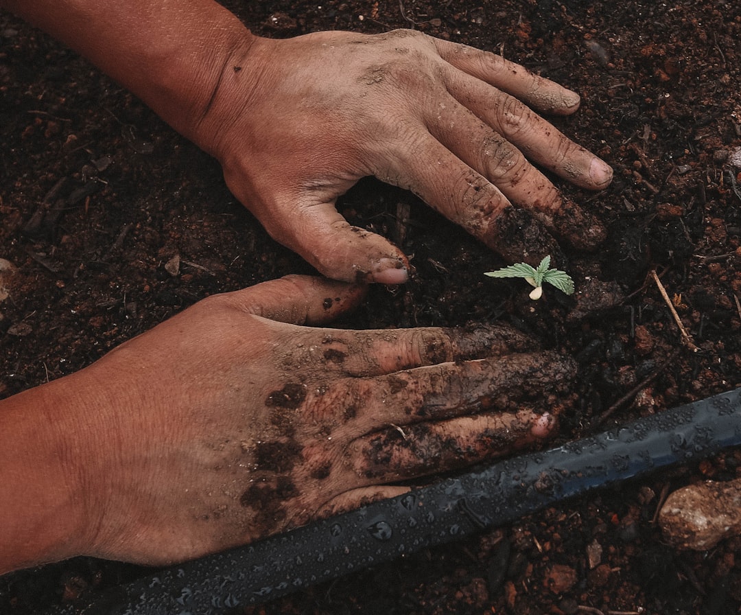 découvrez des conseils pratiques de jardinage, des astuces pour entretenir vos plantes et créer un jardin florissant toute l'année.
