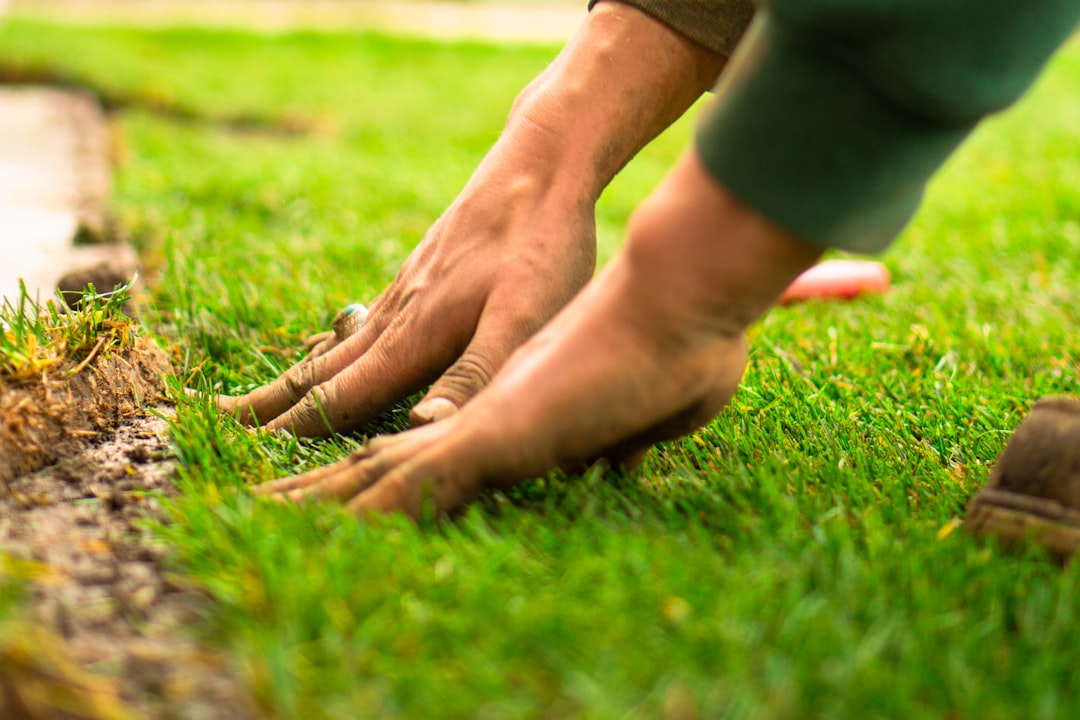 découvrez tous les secrets du landscaping : conseils, astuces et idées créatives pour aménager, décorer et entretenir vos espaces extérieurs, jardins et terrasses.