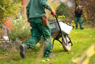 découvrez nos services d’aménagement paysager pour transformer votre jardin en un espace verdoyant et harmonieux. profitez de conseils d’experts et de solutions personnalisées pour sublimer votre extérieur toute l’année.