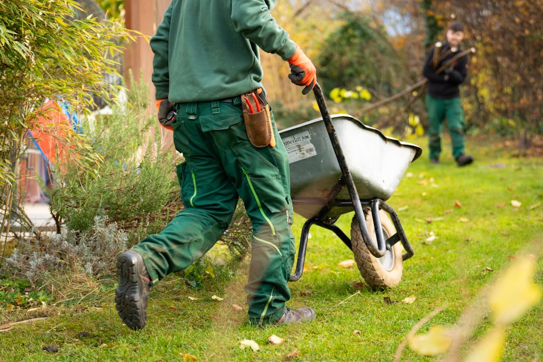 découvrez nos services d’aménagement paysager pour transformer votre jardin en un espace verdoyant et harmonieux. profitez de conseils d’experts et de solutions personnalisées pour sublimer votre extérieur toute l’année.