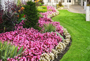 parterre de fleurs