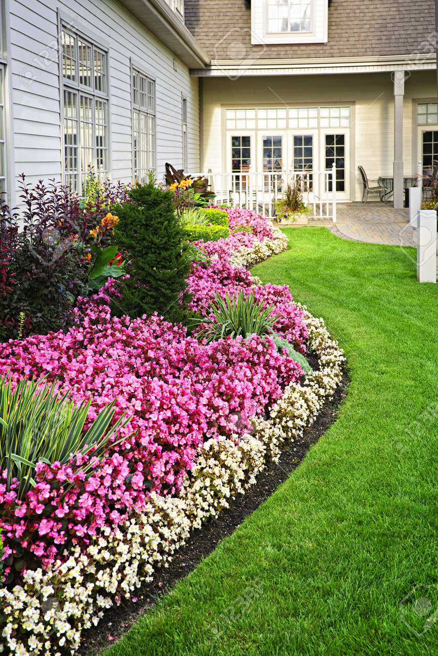parterre de fleurs