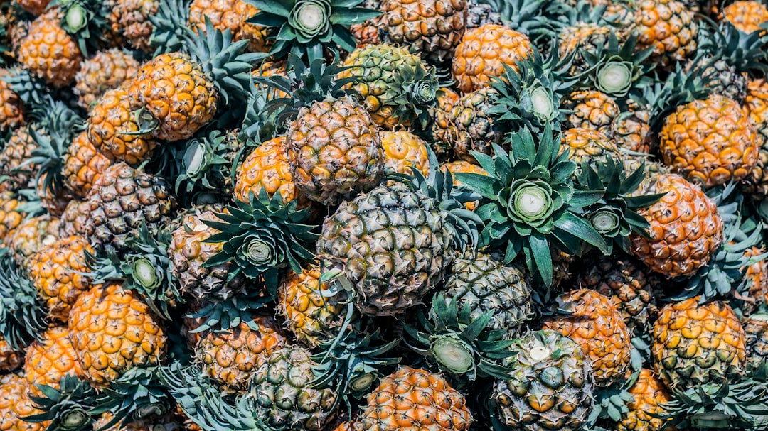 dĂ©couvrez tous les secrets de lâananas : ses bienfaits pour la santĂ©, ses utilisations en cuisine et des conseils pour bien le choisir et le conserver. tout savoir sur ce fruit exotique savoureux !