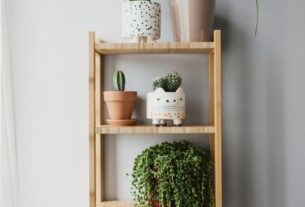 plantes vertes