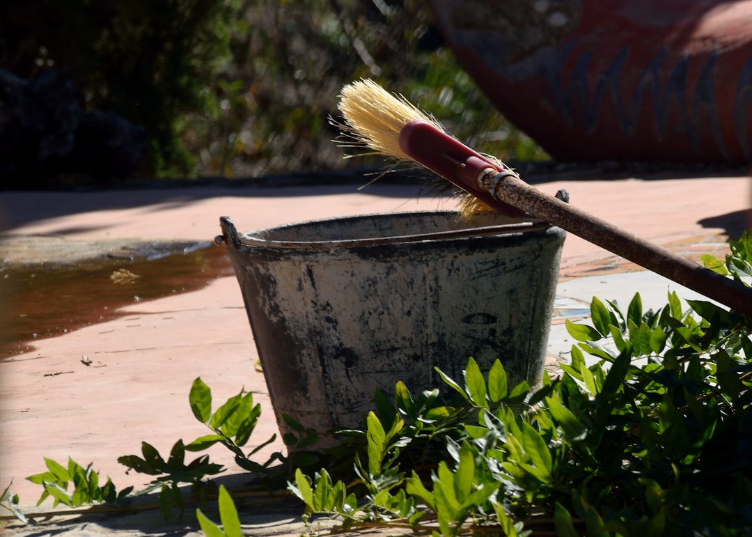 découvrez comment planter un mimosa facilement et assurer son développement avec nos conseils pratiques pour un jardin fleuri et lumineux.