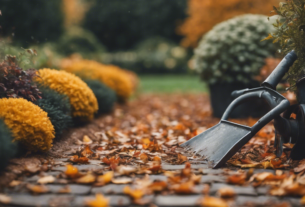 quelles activités choisir pour entretenir votre jardin en octobre ?