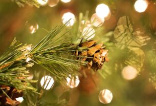 sapin de noel
