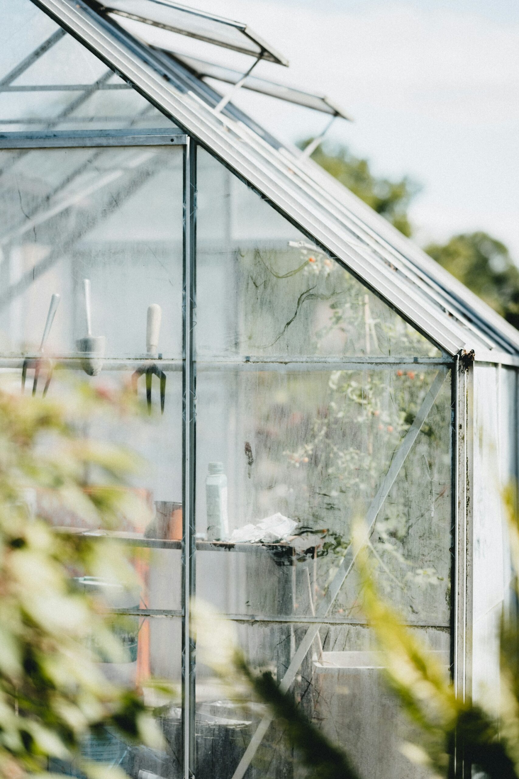 serre de jardin