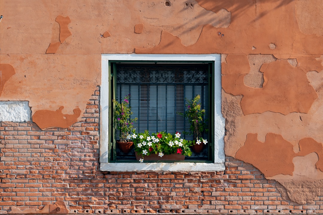 découvrez des idées inspirantes pour décorer votre rebord de fenêtre et apporter une touche de style unique à votre intérieur. transformez facilement vos fenêtres avec nos conseils déco adaptés à tous les goûts !